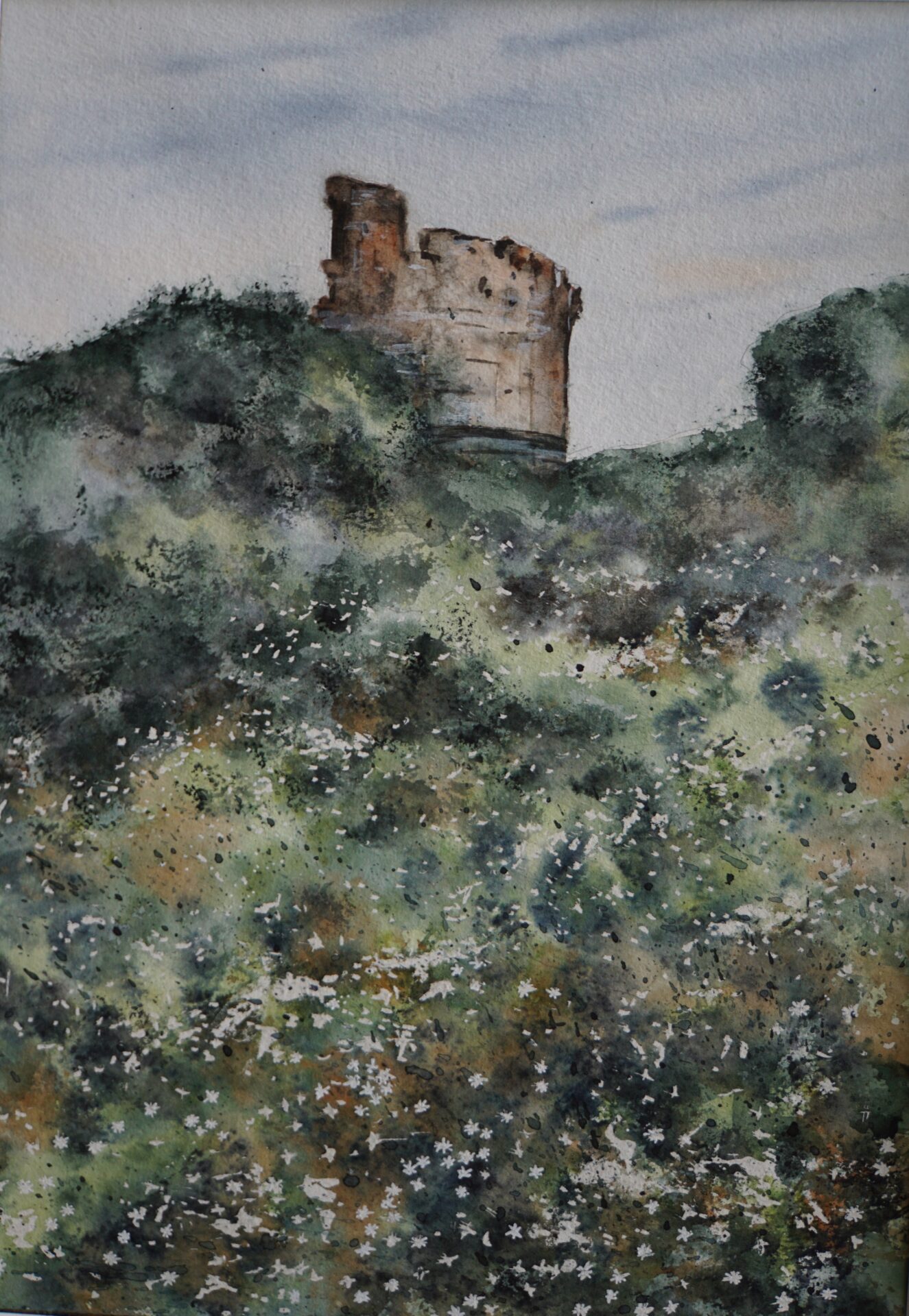 aquarelle 50x40
